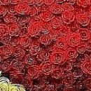 Марися Підгурська фотография #16 (источник - https://vk.com/id156009345)