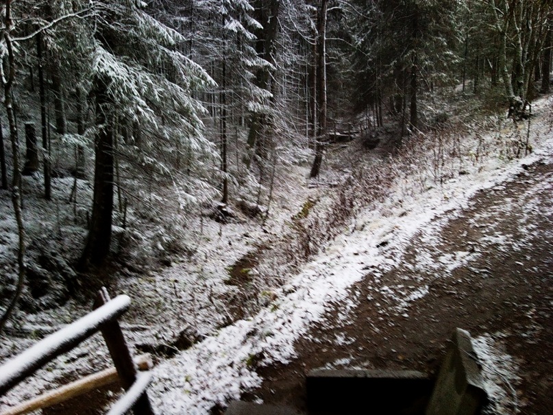 Игорь Владимирович фотография #26