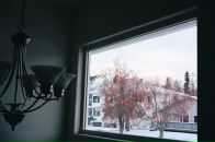Девид Паркер фотография #17 (источник - https://vk.com/id4767619)