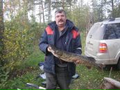 Сергей Корнеев фотография #25 (источник - https://vk.com/id1681972)