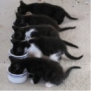 Ігор Шумей фотография #36 (источник - https://vk.com/id134865898)