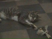 Сергій Петров фотография #30 (источник - https://vk.com/id92831660)