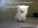 Аня Анісімова фотография #7 (источник - https://vk.com/id166493364)