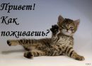 Лєра Колісник фотография #8 (источник - https://vk.com/id153189884)
