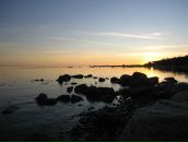 Фотография Светлицкой Эльвиры