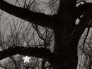 Петро Комісарук фотография #18 (источник - https://vk.com/id132584077)
