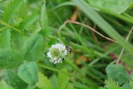 Андрій Світлицький фотография #12 (источник - https://vk.com/id2321783)