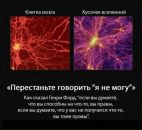 Дмитрий Шанин фотография #29 (источник - https://vk.com/id578933)