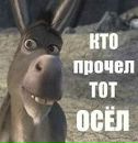 Матвій Туцький фотография #33 (источник - https://vk.com/id144385460)
