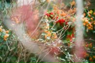 Андрей Носков фотография #27 (источник - https://vk.com/id2598571)