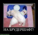 Аліна Котова фотография #46 (источник - https://vk.com/id6179769)