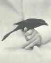 Фотография Павловой Анны