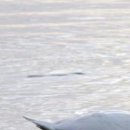 Ірина Швець фотография #30 (источник - https://vk.com/id146166672)