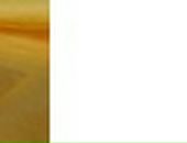 Яна Excale фотография #6 (источник - https://vk.com/id727315)