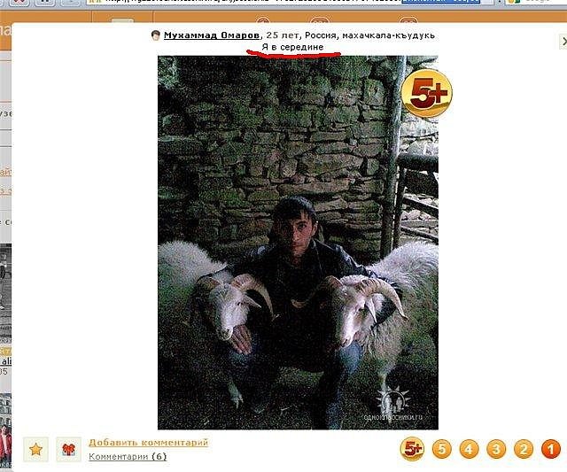 Дмитрий Михайлович фотография #3