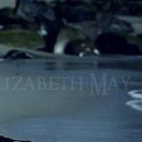 Карына Шевченко фотография #4 (источник - https://vk.com/id123790879)