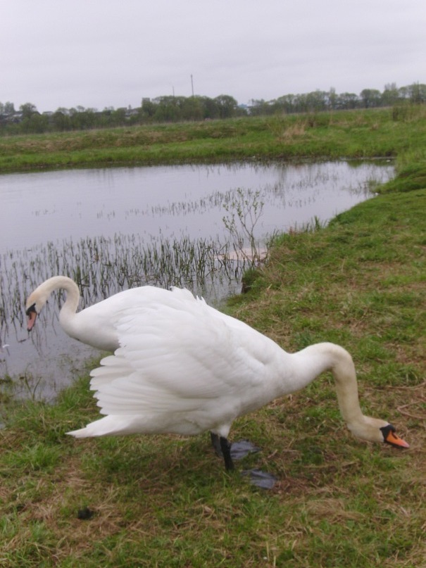 Натали Чепур фотография #50