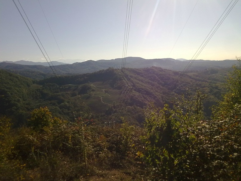 Дмитрий Туркевич фотография #36