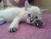 Фотография Тюрина Сергея