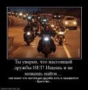 Фотография Зуенко Антона