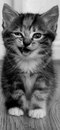 Ян Иванов фотография #1
