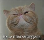 Фотография Хасанова Макса