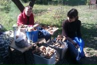 Сергей Степанян фотография #34 (источник - https://vk.com/id3771185)