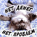 Аліна Крючкова фотография #16 (источник - https://vk.com/id158084855)