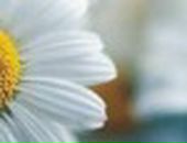 Іванна Майданська фотография #47 (источник - https://vk.com/id85635594)