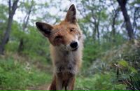 Фотография Клеина Виталия