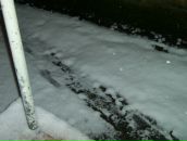 Фотография Белянской Светланы