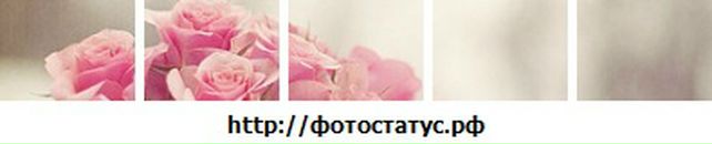 Діанітка Сирохман фотография #43 (источник - https://vk.com/id117657231)