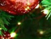 Володя Романів фотография #40 (источник - https://vk.com/id13684613)