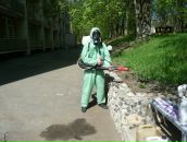 Фотография Дементьева Александра