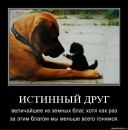 Фотография Нугаманова Ильнура