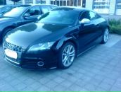 Фотография Штетингер Тани