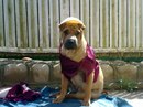 Марія Булка фотография #24 (источник - https://vk.com/id166454209)