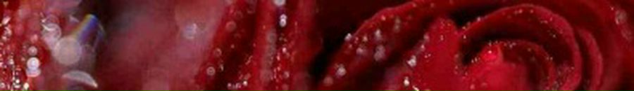 Діма Петров фотография #30 (источник - https://vk.com/id76484046)