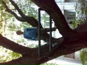 Міша Костяний фотография #13 (источник - https://vk.com/id99251008)