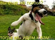 Фотография Фаррахова Айдара