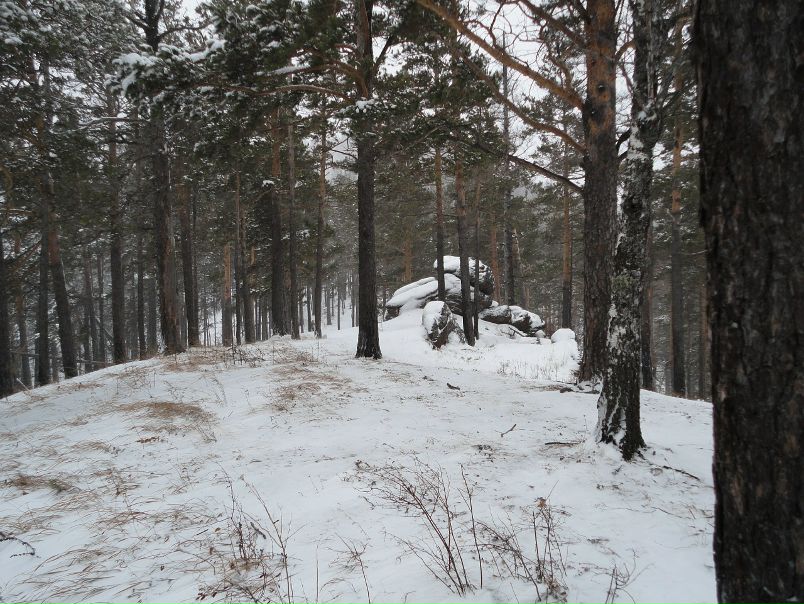 Михаил Маценко фото №34