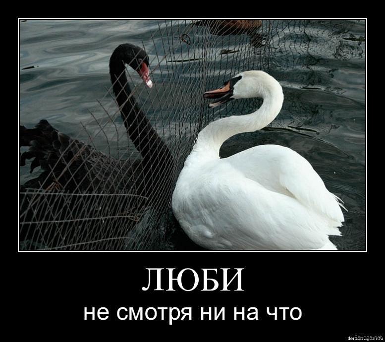 Иван Мищенко фотография #41