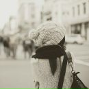 Фотография Вдовиченко Настюши