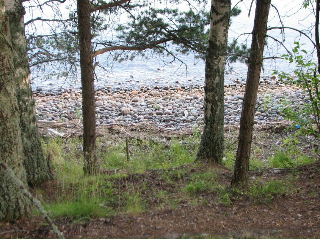 Николай Савельев фотография #14