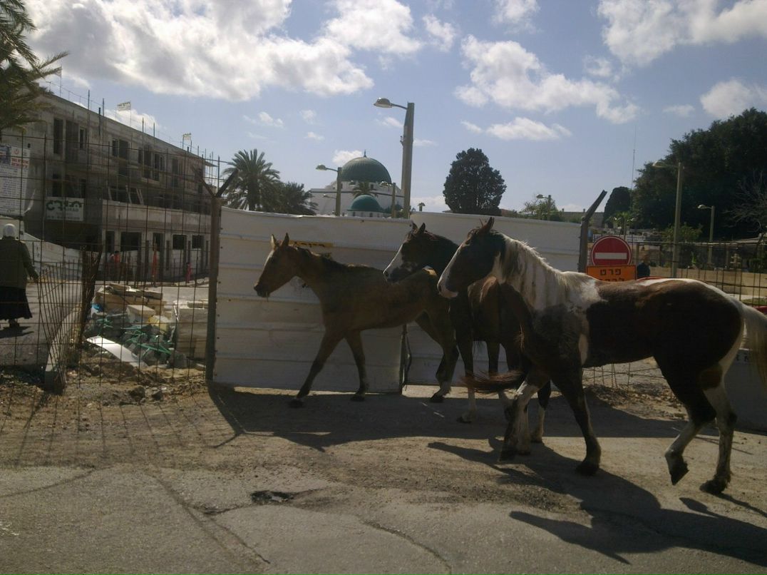 Tg Tu фотография #46