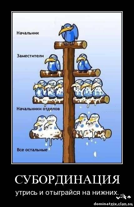 Василий Спицын фотография #11