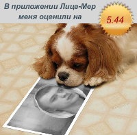 №12, Женя Смольный, 37 лет, Минск №12, Женя Смольный, 37 лет, Минск