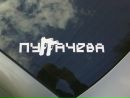 Фотография Синельникова Владимира