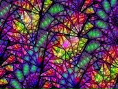 Фотография Konstantinov Sashka