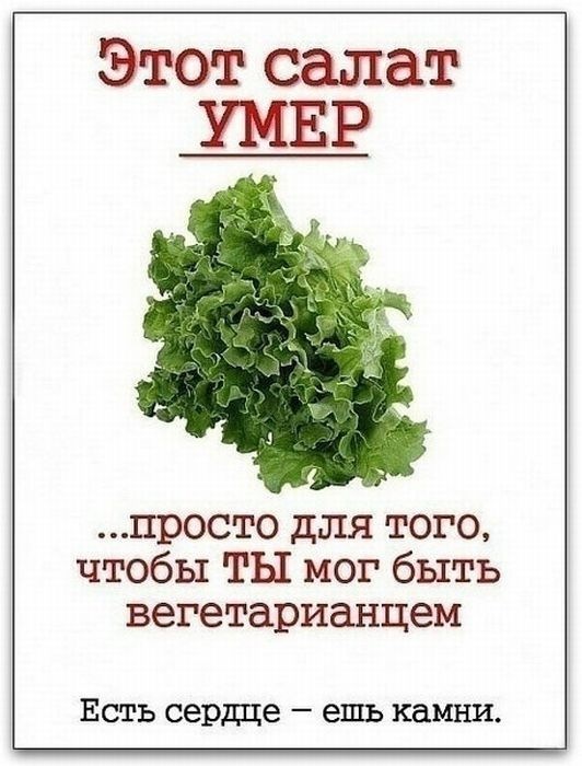 Дмитрий Коновалов фотография #24